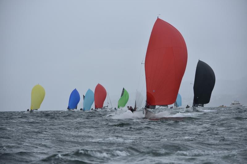 SB20 Porco Rosso (Elliott Noye) leads the fleet on the River Derwent - 2019 SB20 Australia's Summer Pennants photo copyright Jane Austin taken at Royal Yacht Club of Tasmania and featuring the SB20 class