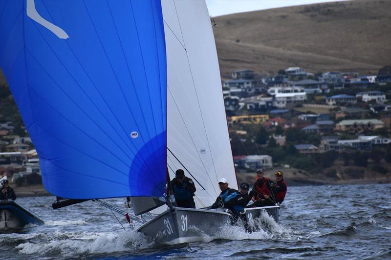 Export Roo leading Porco Rosso in the 2026 Storm Bay Apparel SB20 Australian Championship - photo © Jane Austin