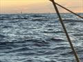 Cindy Brin & Thomas André (Cap St Barth) - Transat Paprec Day 19