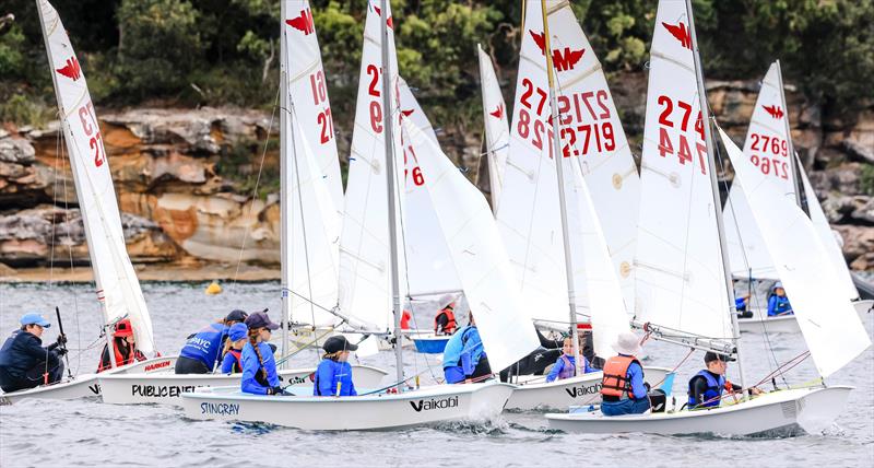 Manly Junior 2025 State Championship photo copyright SailMedia | Michael Chittenden taken at Manly 16ft Skiff Sailing Club and featuring the Manly Junior class