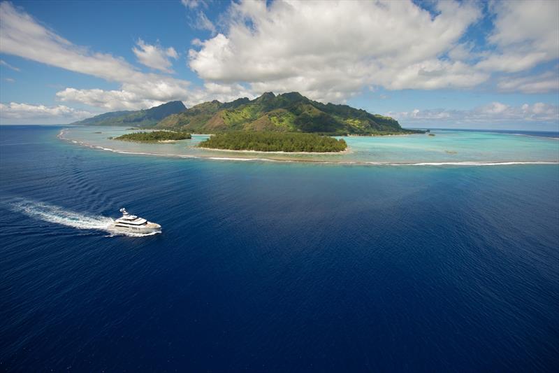 Big Fish in Tahiti. - photo © Big Fish