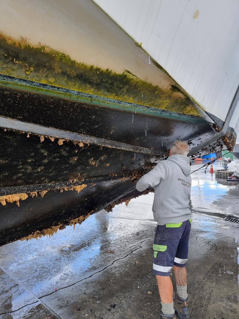 A boat in need of a clean, at Tauranga Bridge Travelift.  - photo © Marine Biosecurity NZ