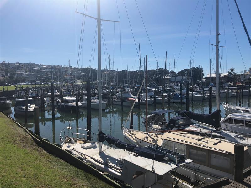 Milford Marina is located in Wairau Creek in Auckland. The fresh water in marinas like this one can help inhibit some marine growth photo copyright Marine Biosecurity NZ taken at  and featuring the  class