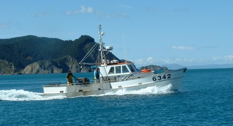 In 2020/21 they issued 3,365 maritime or marine protection documents, certificates and permits photo copyright Maritime NZ taken at Nelson Yacht Club and featuring the  class