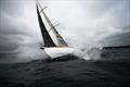 Maritimo Katwinchar competing in the 2024 Bird Island Race &copy; CYCA / Vito Feremans