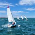Womens State Keelboat Championships © Swan River Sailing