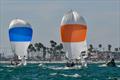 Downwind action on the Governor's Cup 22s in the strong breezes of the 2021 Governor's Cup