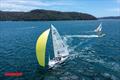 International Youth Match Racing Championship © RPAYC Media