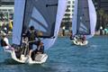 &copy; Royal Geelong Yacht Club