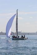 &copy; Royal Geelong Yacht Club