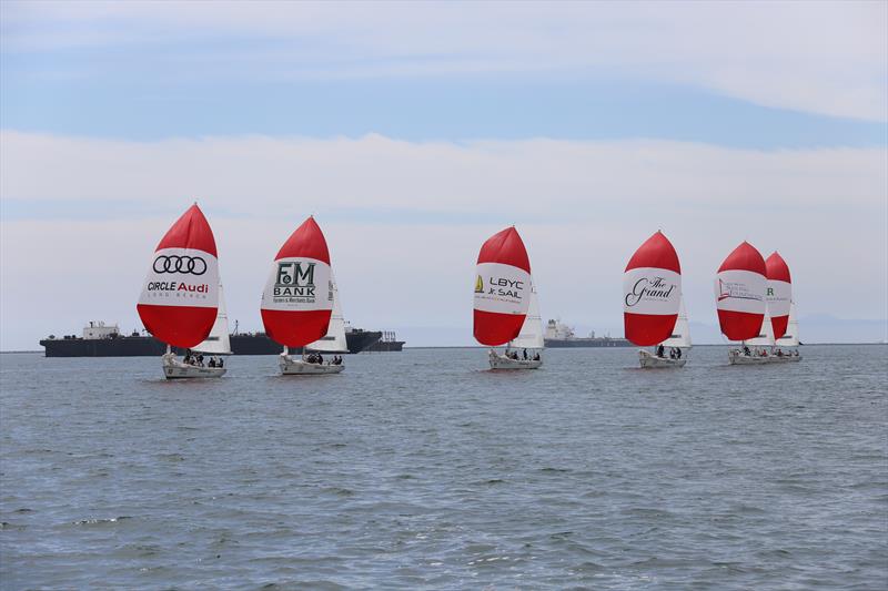 55th LBYC Congressional Cup final day photo copyright Bronny Daniels taken at Long Beach Yacht Club and featuring the Match Racing class