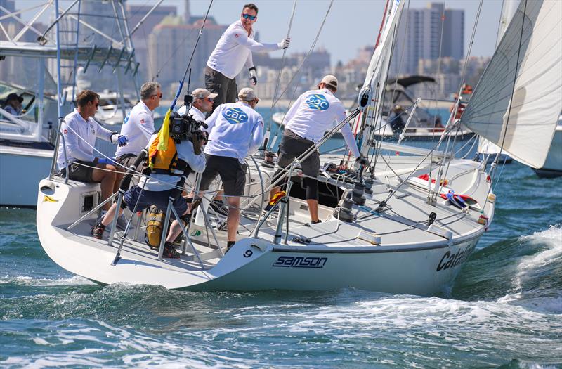 55th LBYC Congressional Cup final day photo copyright Bronny Daniels taken at Long Beach Yacht Club and featuring the Match Racing class