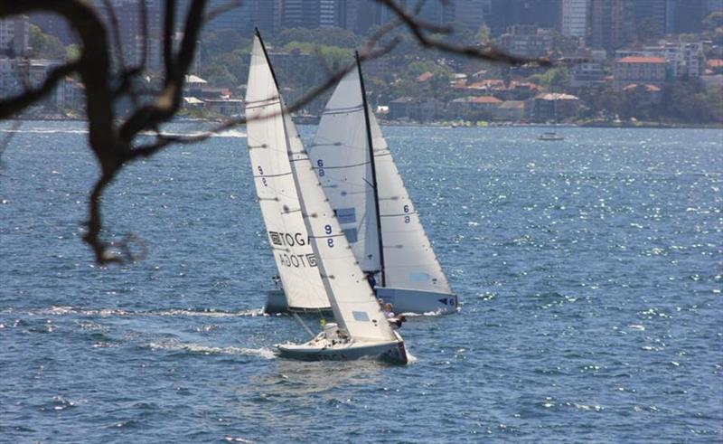 The competition is heating up with semi-finals well underway. - Australian Youth Match Racing Championship, Day 3 photo copyright CYCA / Jordan Reece taken at Cruising Yacht Club of Australia and featuring the Match Racing class