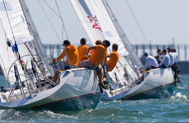 Congressional Cup  photo copyright Betsy Senescu taken at Long Beach Yacht Club and featuring the Match Racing class