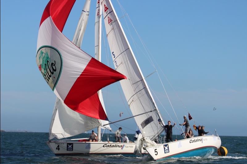 Ficker Cup 2022 day 2 photo copyright Bronny Daniels taken at Long Beach Yacht Club and featuring the Match Racing class