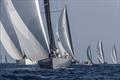 Peter Dubens at the helm of his 72 footer North Star - Les Voiles de Saint-Tropez 2023, Day 1