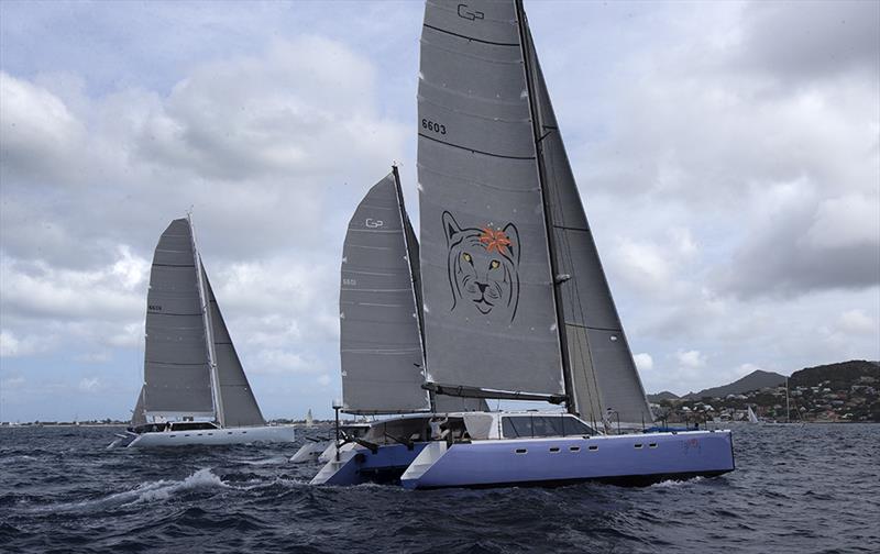 Gunboats on day 2 of the 34th St. Maarten Heineken Regatta photo copyright Richard Langdon / Ocean Images taken at Sint Maarten Yacht Club and featuring the Maxi Cat class