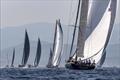 Francesco de Santis's Southern Wind 100 Morgana chases the rest of Maxi A1 downwind - Les Voiles de Saint-Tropez 2023, Day 1