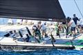 © Tre Golfi Sailing Week / Studio Borlenghi