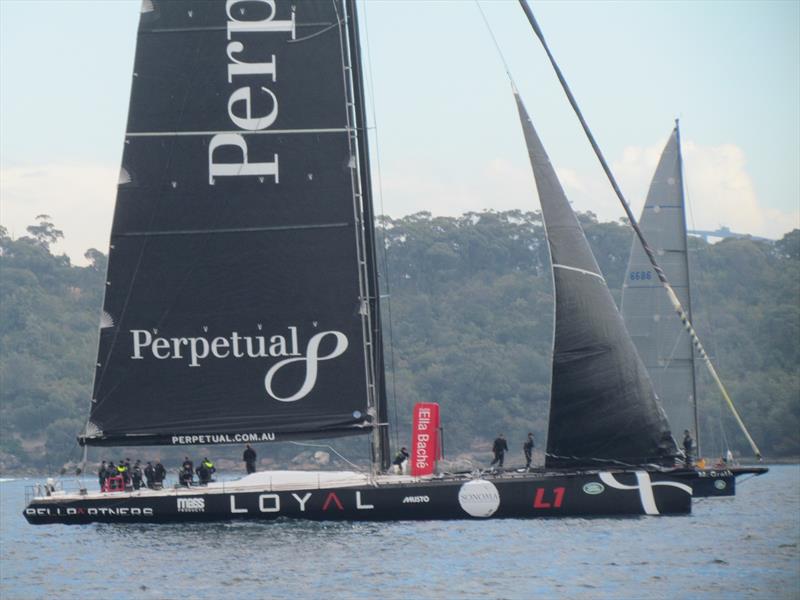 Perpetual Loyal after the light start last year in the Land Rover Sydney Gold Coast Yacht Race photo copyright Jennifer Crooks, CYCA taken at Cruising Yacht Club of Australia and featuring the Maxi class