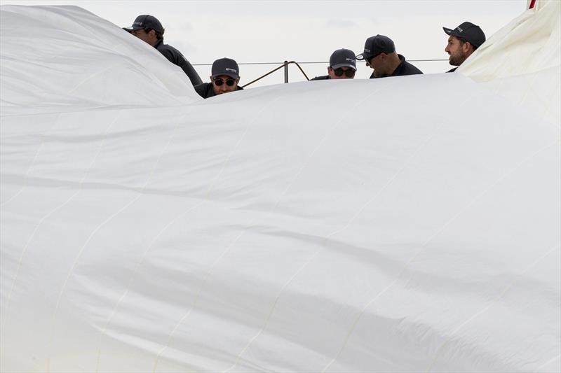 All hands to the kite on Winning Appliances photo copyright Andrea Francolini taken at Cruising Yacht Club of Australia and featuring the Maxi class