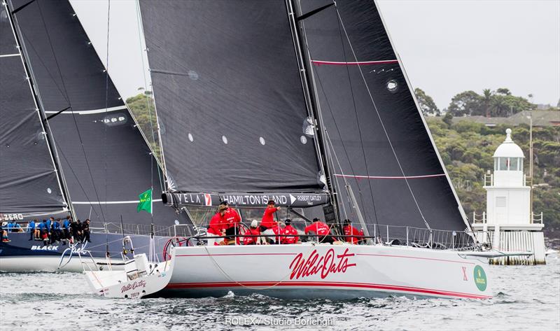 Wild Oats X and Comanche - 2018 Grinders Coffee SOLAS Big Boat Challenge photo copyright Carlo Borlenghi / Rolex taken at Cruising Yacht Club of Australia and featuring the Maxi class