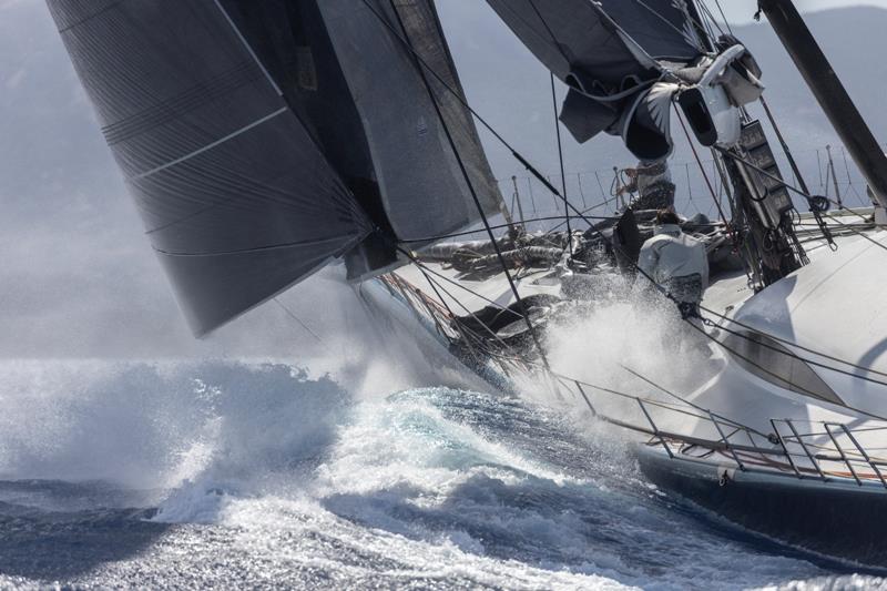 maxi rolex cup 2021