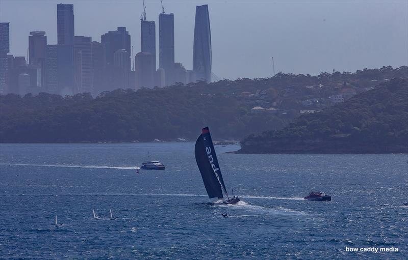 Roaring back up the Harbour with andoo Comanche - photo © Bow Caddy Media