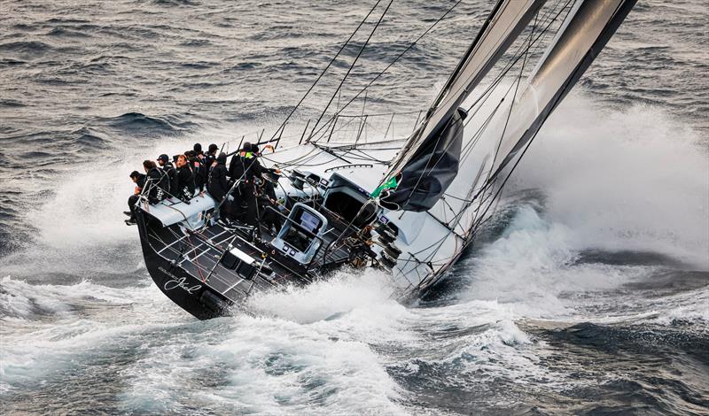 Black Jack - photo © Carlo Borlenghi