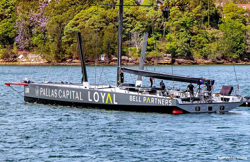 Tribeca Loyal launch at Woolwich Dock - photo © Bow Caddy Media