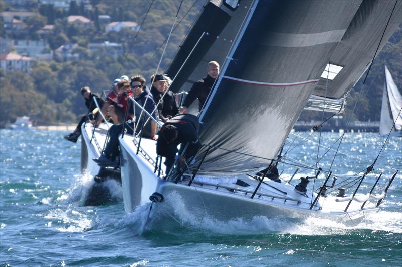 Vino and Easy Tiger (behind) during the MC38 Winter Regatta Act 4 on Sydney Harbour photo copyright David Staley / MHYC taken at Middle Harbour Yacht Club and featuring the MC38 class