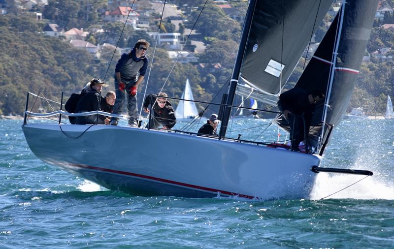 Chris Hancock's Vino at the MC38 Winter Regatta Act 4 on Sydney Harbour photo copyright David Staley / MHYC taken at Middle Harbour Yacht Club and featuring the MC38 class