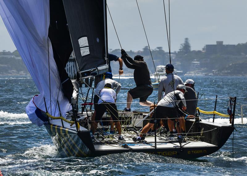 Race 6 winner Easy Tiger during MC38 2021 Season Act 1 at Middle Harbour YC photo copyright Marg Fraser-Martin taken at Middle Harbour Yacht Club and featuring the MC38 class