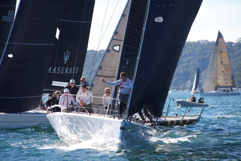 Vino MC38 season Act 3 photo copyright Mark Bayfield taken at Royal Prince Alfred Yacht Club and featuring the MC38 class