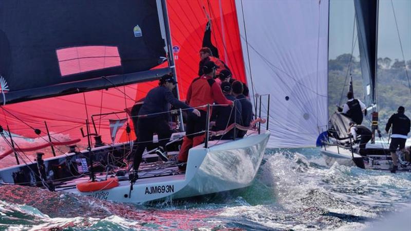 Lazy Dog downwind Sydney Harbour Act 4 photo copyright Tilly Lock Media taken at Cruising Yacht Club of Australia and featuring the MC38 class