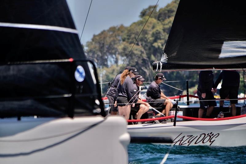 Lazy Dog big mover in the MC38 fleet photo copyright Tilly Lock Media taken at Royal Prince Alfred Yacht Club and featuring the MC38 class