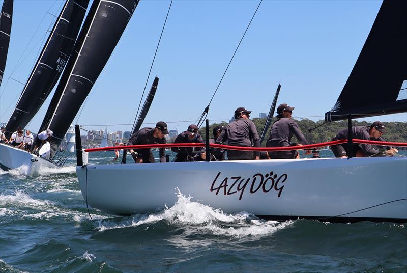 Lazy Dog and MC38 fleet - 2019 McConaghy 38 CYCA Regatta - Act 1 - photo © Lisa Ratcliff