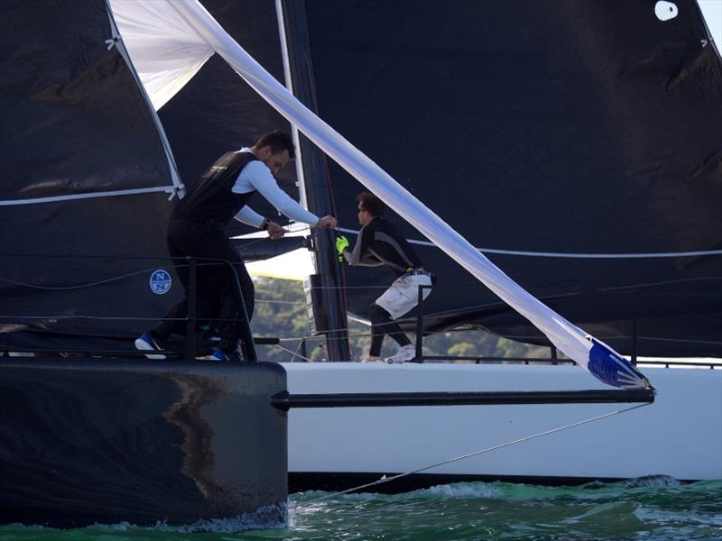 Action on Sydney Harbour - 2019 MC38 Season Act 2 photo copyright Tilly Lock Media taken at Royal Sydney Yacht Squadron and featuring the MC38 class