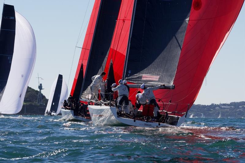 Ginger, second overall - 2019 MC38 Season Act 2 photo copyright Tilly Lock Media taken at Royal Sydney Yacht Squadron and featuring the MC38 class
