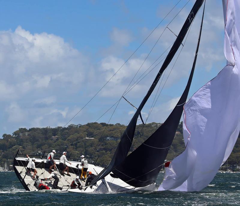 Thor spills in gusty conditions during MC38 2022 Season Act 1 on Pittwater - photo © Rob McClelland