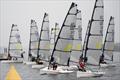 Melges 14 Southern Championship 2017 © Melges 14 Class