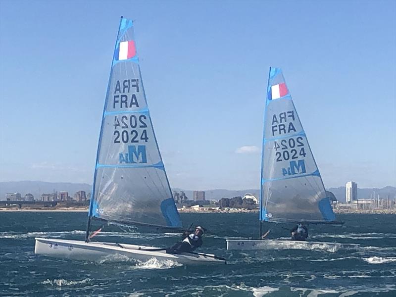 Melges 14s at the Olympic One Person Dinghy Sea Trials in Valencia photo copyright Melges taken at  and featuring the Melges 14 class