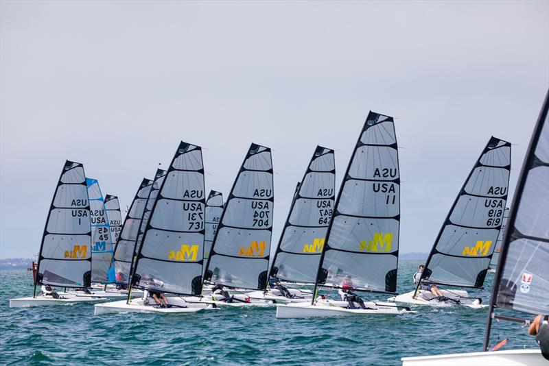 2019 Melges 14 Midwinter Championship - Final day photo copyright Hannah Noll taken at Sarasota Sailing Squadron and featuring the Melges 14 class