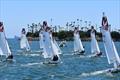 Ullman Sails Long Beach Race Week © Camille Daniels