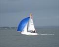 Melges 15 of D Johnston and M Cotter on Howth YC Dinghy Frostbites Spring Series Day 4