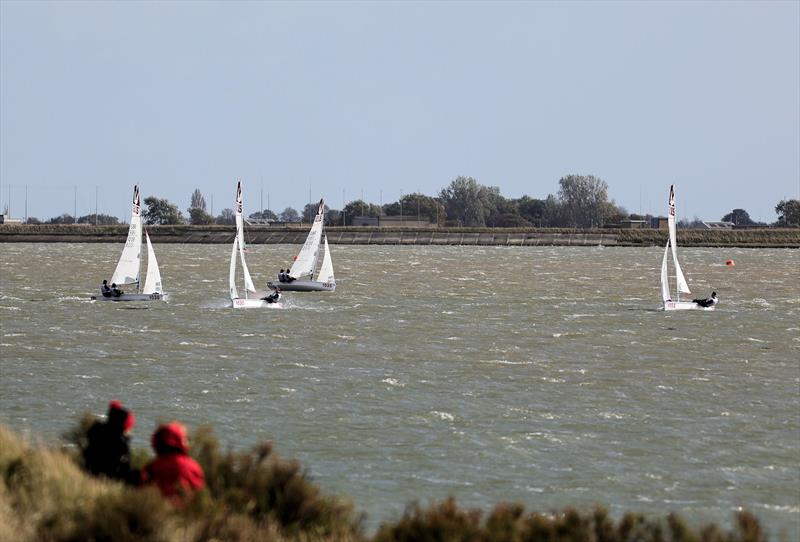 64th Endeavour Trophy - 1038 GP14, 1030 29er, 1035 Cadet, 1052 Supernova photo copyright Mark Jardine taken at Royal Corinthian Yacht Club and featuring the Melges 15 class
