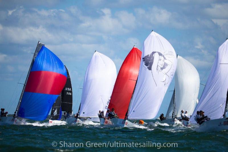 2017-2018 Melges 20 Miami Winter Series - photo © Sharon Green / ultimatesailing.com