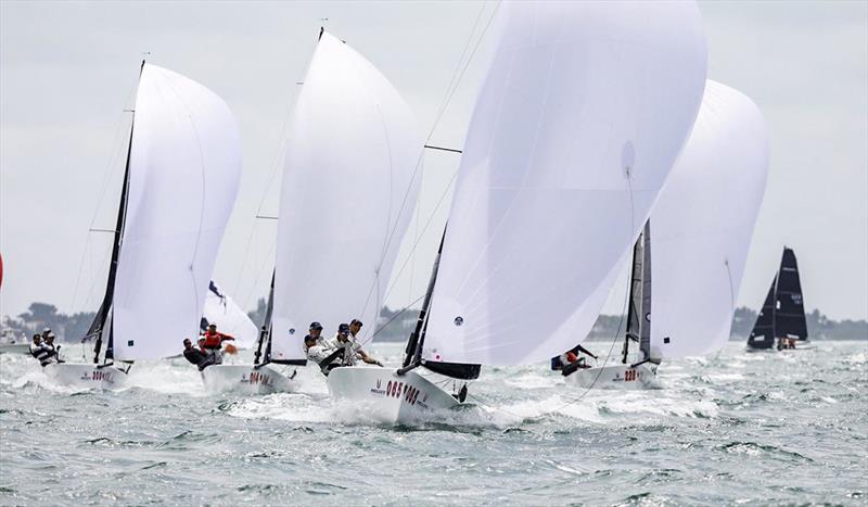 2019 Melges 20 World Championship photo copyright Hannah Noll taken at Coconut Grove Sailing Club and featuring the Melges 20 class