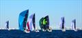Racing in the Melges 24 Bushwhacker Cup  in Pensacola November 2021. The annual regatta in Pensacola is the final event in the Melges 24 National Ranking Series. In 2022 it is the Melges 24 National Championship Regatta.