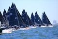 Forty teams are currently registered to compete at the 2025 U.S. National Championship happening this weekend, November 14-16 hosted by the Pensacola Yacht Club